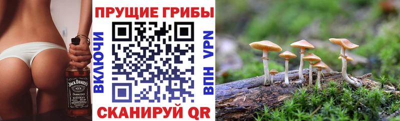 Галлюциногенные грибы GOLDEN TEACHER Фёдоровский