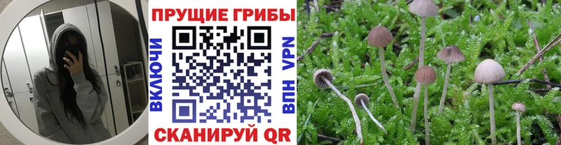 Галлюциногенные грибы ЛСД  Фёдоровский 